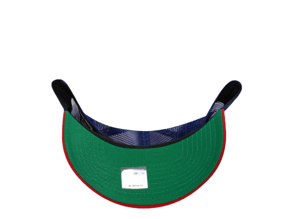 New Era Brevard County Manatees Color Flip Trucker Edition Trucker 9Forty A Frame Snapback Cap