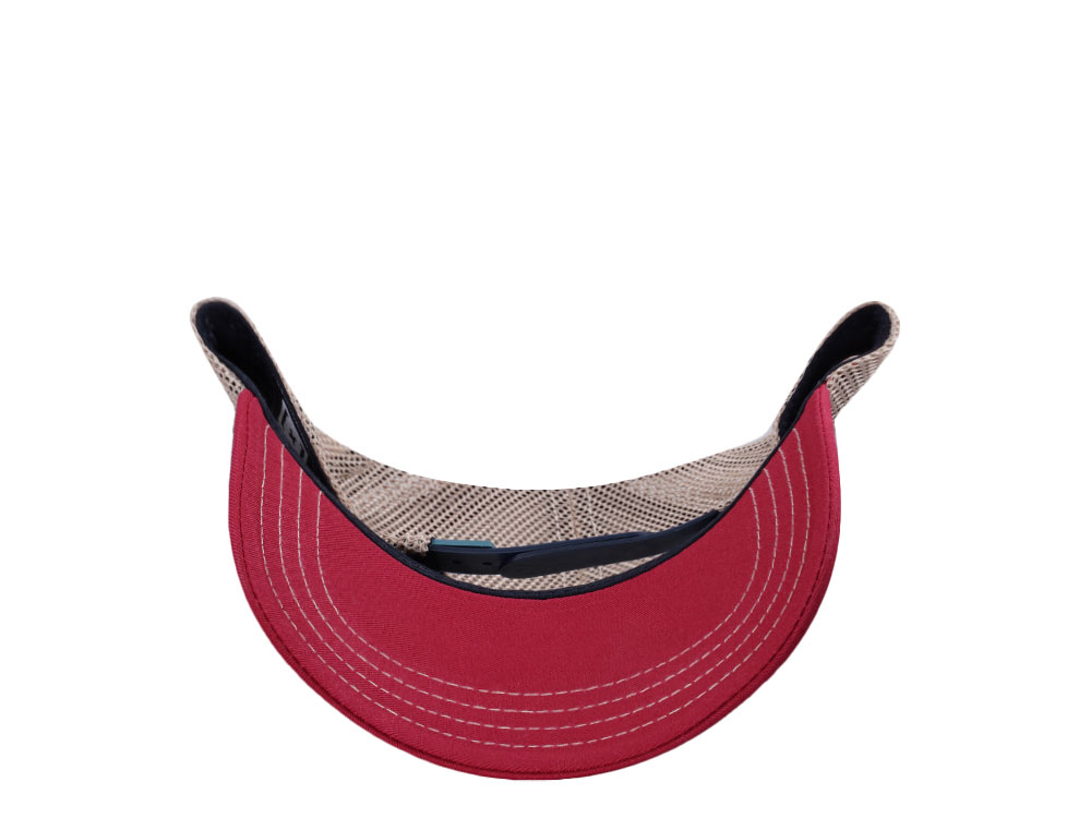 Capslab Looney Tunes Sylvester Trucker Snapback Cap