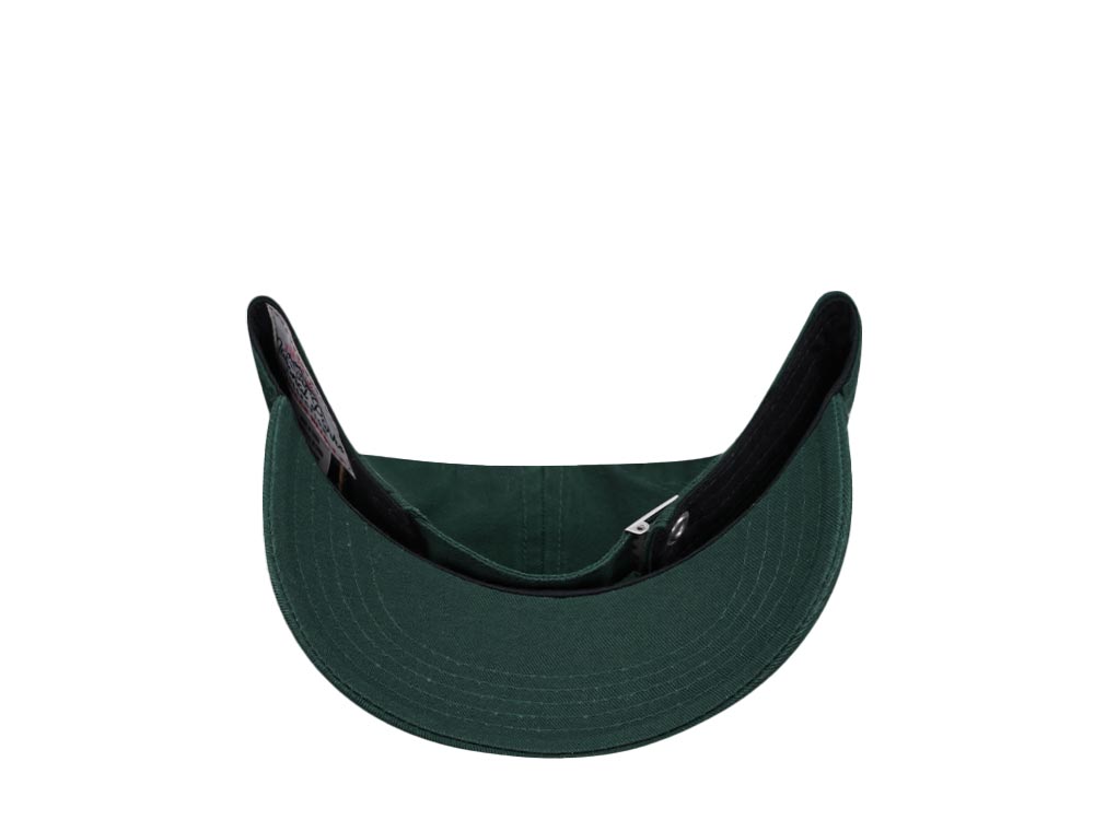 American Needle Olympic National Park Hepcat Dark Green  Strapback Cap