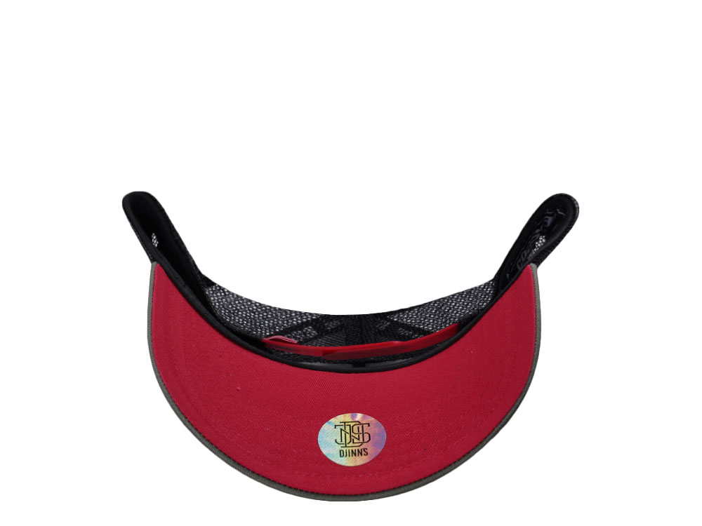Djinns Guatemala Coastal Trucker Snapback Cap