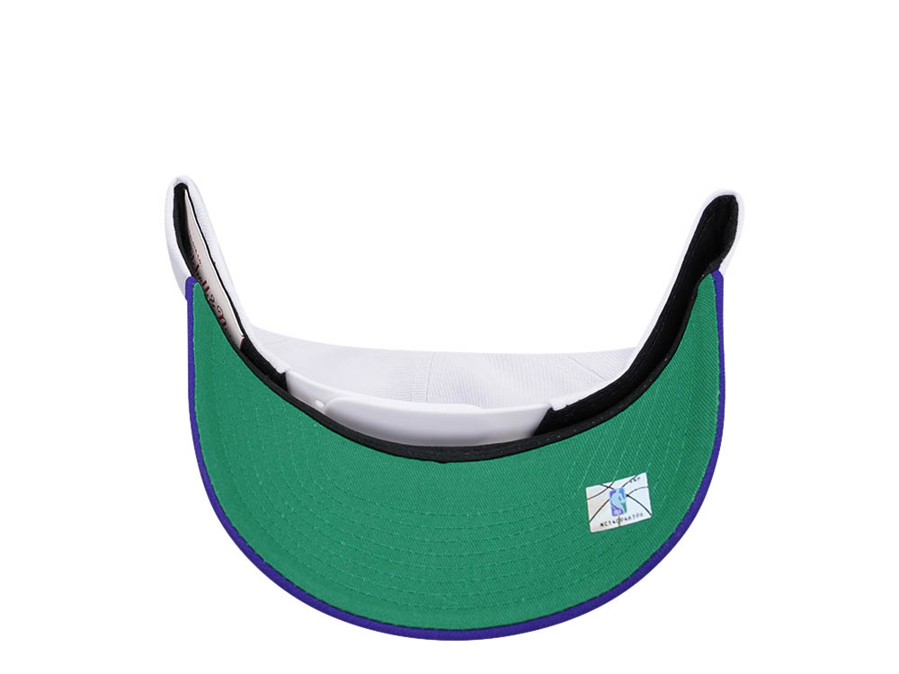 Mitchell & Ness Charlotte Hornets Team Two Tone 2.0 Pro Snapback Cap